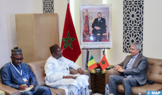 وزير الفلاحة المالي يشيد بتقدم المغرب في تدبير المياه والسدود