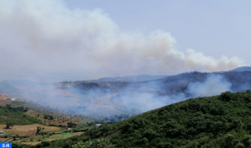 جهود متواصلة للسيطرة على حريق بغابة حوز الملاليين بعمالة المضيق-الفنيدق