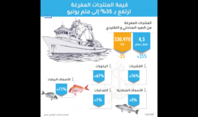 الصيد البحري.. ارتفاع قيمة المنتجات المسوقة بنسبة 35 في المائة إلى متم يونيو الماضي (المكتب الوطني للصيد)