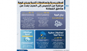أمطار رعدية وتساقطات ثلجية ورياح قوية مرتقبة من الخميس إلى السبت بعدد من مناطق المملكة (نشرة إنذارية)