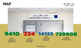 فيروس كورونا .. تسجيل 310 حالات مؤكدة جديدة بالمغرب ترفع العدد الإجمالي إلى 14 ألفا و132 حالة