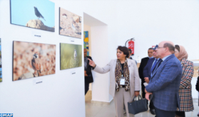"من الصحراء المغربية إلى جبل موسى" شعار معرض للصور فوتوغرافية حول التنوع البيولوجي