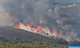 تواصل الجهود لتطويق الحريق الذي اندلع بغابة "باب ازهار" بإقليم تازة