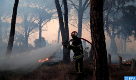 إقليم تطوان.. تعزيزات بشرية وتقنية جديدة لإخماد حريق غابوي أتى لحدود الساعة على 100 هكتار من الغطاء الغابوي (مصادر محلية)