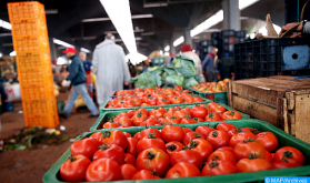 منتوج الطماطم متوفر بكميات كافية وارتفاع الأسعار مرتبط بالطلب الكبير على المستوى الدولي (السيد بايتاس)