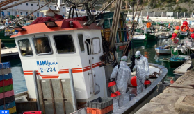 كوفيد 19: عمليات تعقيم واسعة لمراكب الصيد البحري بميناء الحسيمة