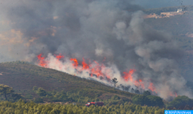 إقليم شفشاون.. اندلاع حريق بغابة "عشاشة تاسيفت" وجهود متواصلة لتطويقه (سلطات محلية)