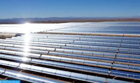 المغرب استثمر في مجال الطاقة عن قناعة وبرؤية مستقبلية استشرافية (خبير تونسي)