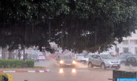 تساقطات ثلجية وأمطار رعدية محليا قوية مرتقبة من الإثنين إلى الأربعاء بعدد من مناطق المملكة (نشرة خاصة)