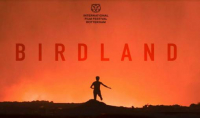 فيلم "Birdland" لليلى كيلاني يشارك في المسابقة الرسمية لمهرجان روتردام