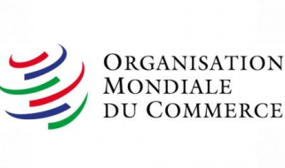 Morocco Co-Sponsors Declaration at 13th WTO Conference to Reduce Trade in Harmful Plastics