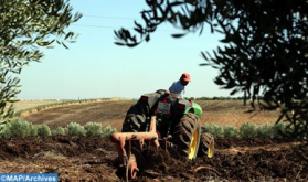 Morocco's CAM, French AFD Join Forces to Accelerate Development of Sustainable Agriculture