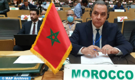 Addis Ababa: Morocco's Active Solidarity with African Countries in Political Transition Reiterated before AU PSC