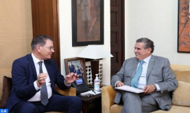 Head of Government Holds Talks with UNIDO Director General