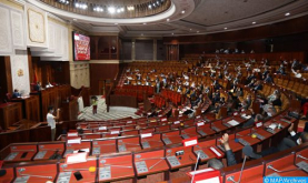 Lower House to Hold Plenary Session on Monday to Discuss Government's Action