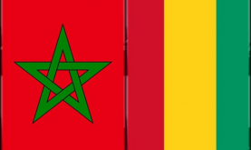 Vocational Training: Morocco, Guinea Strengthen Bilateral Cooperation