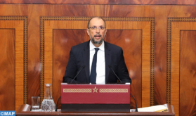 Investment Rate in Morocco Among World's Highest - Minister