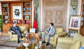 Moroccan FM Holds Talks with IAEA Director General
