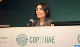 Morocco Leads the Way for MENA and Africa in Climate Action (Emirati Senior Official)
