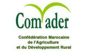 Moroccan Confederation of Agriculture, Rural Development Hails HM the King's High Concern for Rural Population, Agricultural Sector