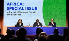 Africa's Development Depends on Innovation – Director of IMF African Department