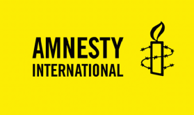 Amnesty International's Allegations, Attempt to Influence Investigations on Its Irregularities in India (Indian government)