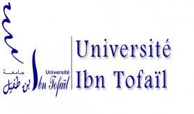 Kenitra Ibn Tofail University Stands out in Times Higher Education Ranking