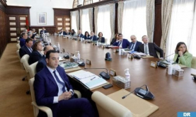 Government Council Takes Note of Agreement on Permanent Pan-African Development Institute HQ in Dakhla