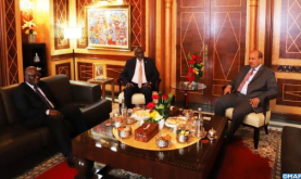 Upper House Speaker, Speaker of National Assembly of Djibouti Discuss Means to Step up Parliamentary Cooperation