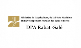 Rabat-Sale Provincial Agriculture Department: Recent Rainfall Beneficial for Several Crops