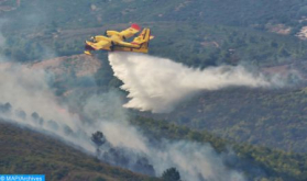 Chefchaouen: Efforts Under Way To Contain Fire That Torched around 725 ha of Forest