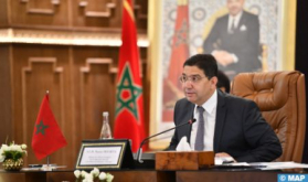 African Identity Is Deeply Rooted in Morocco's Political Choices Under HM the King’s Leadership (FM)