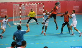 World Handball Championship (Sweden/Poland 2023): Morocco Loose to Egypt (19-30)