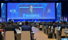 Interpol Celebrates Its Centenary in Vienna