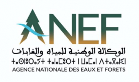 Creation of National Agency for Water and Forests Shows Radical Change in Management of Forest Estate in Morocco (Official)