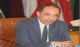 Djibouti Presidential Election: Moroccan Diplomat to Lead Arab League Observation Mission