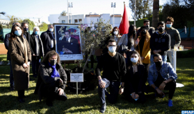 Casablanca: Olive Tree Planted to Symbolize Fraternity between Muslims and Jews