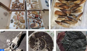 Attempt to Illegally Export nearly 200 kg of Geological Objects Foiled in Casablanca