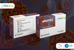 MAScIR: Moldiag Launches the First 100% Moroccan Hepatitis C Diagnostic Test