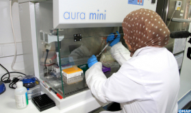 Coronavirus: 31 nuevos casos confirmados en Marrakech-Safi, 1.393 en total