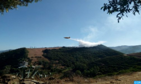 Controlado un incendio forestal en Fnideq