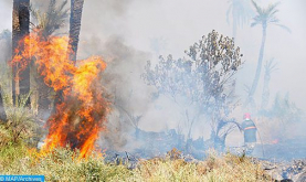 Tetuán: Continúan los esfuerzos para controlar el incendio forestal en la comuna de Bni Layeth (fuentes locales)