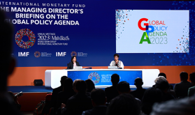 Marco común del G-20: hay que ponerse al día, pero los signos son alentadores (DG FMI)