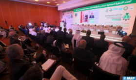 Marruecos realizó grandes progresos en la diversificación de la producción agrícola (Pdte. Liga de Cámaras Árabes)