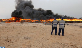 Incineradas en Dajla más de 3 toneladas de chira