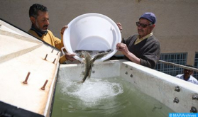 Lanzamiento de un proyecto de 2,5 millones de dólares para apoyar el desarrollo de los oficios de acuicultura en Marruecos