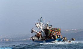 Dajla: 5 marineros rescatados y 10 cadáveres recuperados tras el naufragio de un pesquero (Autoridades locales)