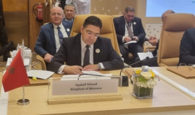 Cumbre extraordinaria árabe-islámica en Riad: reunión preparatoria de los ministros de Asuntos Exteriores de los países árabes e islámicos