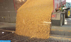 La ONU exportará 30.000 toneladas de trigo ucraniano