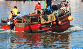 Puerto de Tarfaya: caída del 7% de los desembarques de la pesca costera y artesanal a finales de febrero (ONP)
